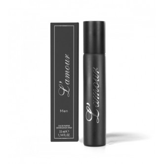 L'amour Premium 253/Inspirováno Dior - Dior Homme 2005/06
