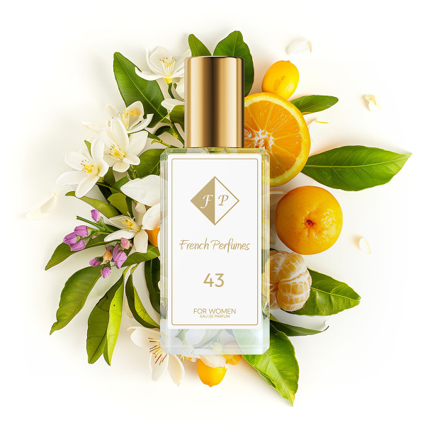 č.43/Inspirováno Versace - Versus