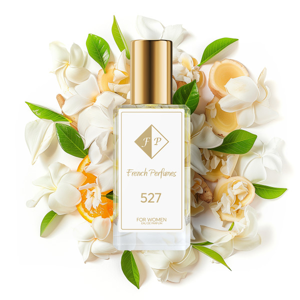 č.527/Inspirováno Versace - Crystal Noir