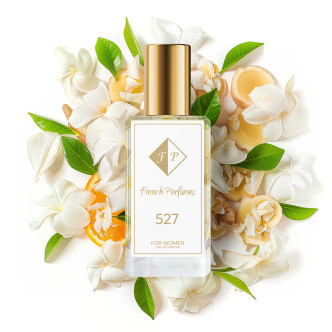 č.527/Inspirováno Versace - Crystal Noir