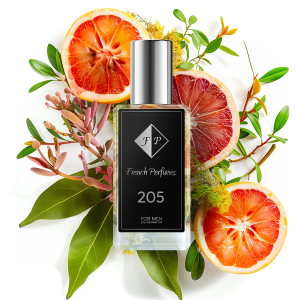 č.205/Inspirováno Paco Rabanne Invictus