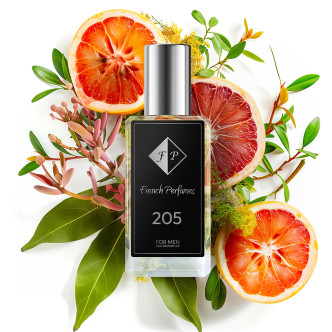 č.205/Inspirováno Paco Rabanne Invictus